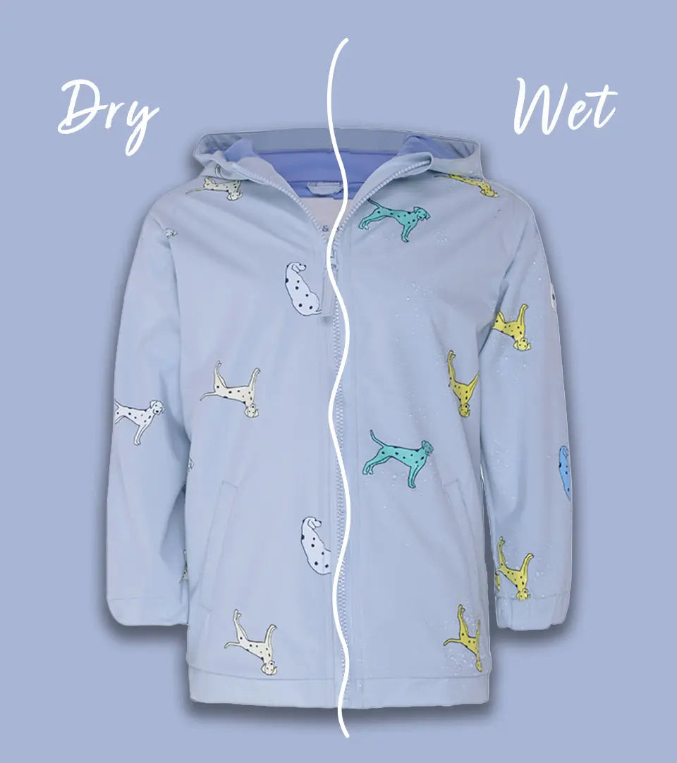 Dalmatian Colour Changing Raincoat Hollyandbeauu