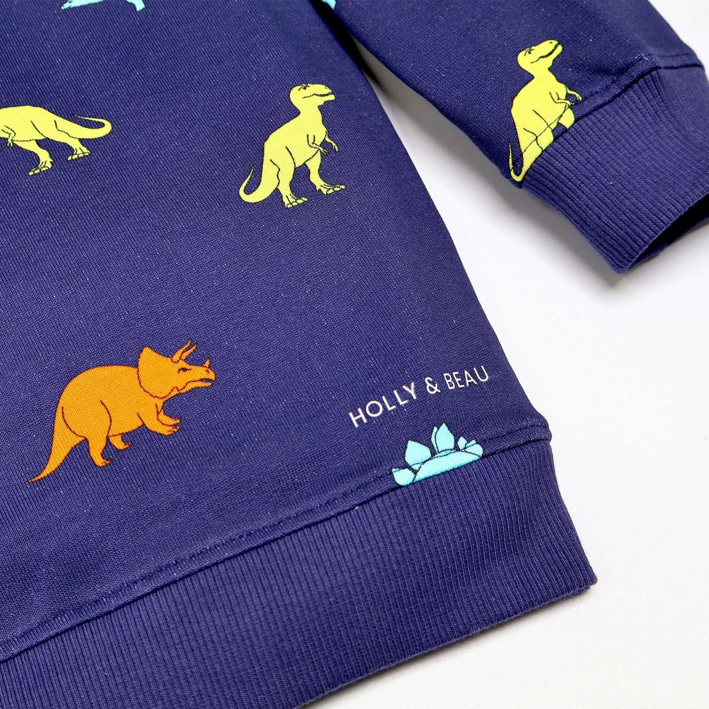 Organic Cotton Dinosaur Sweatshirt Hollyandbeauu