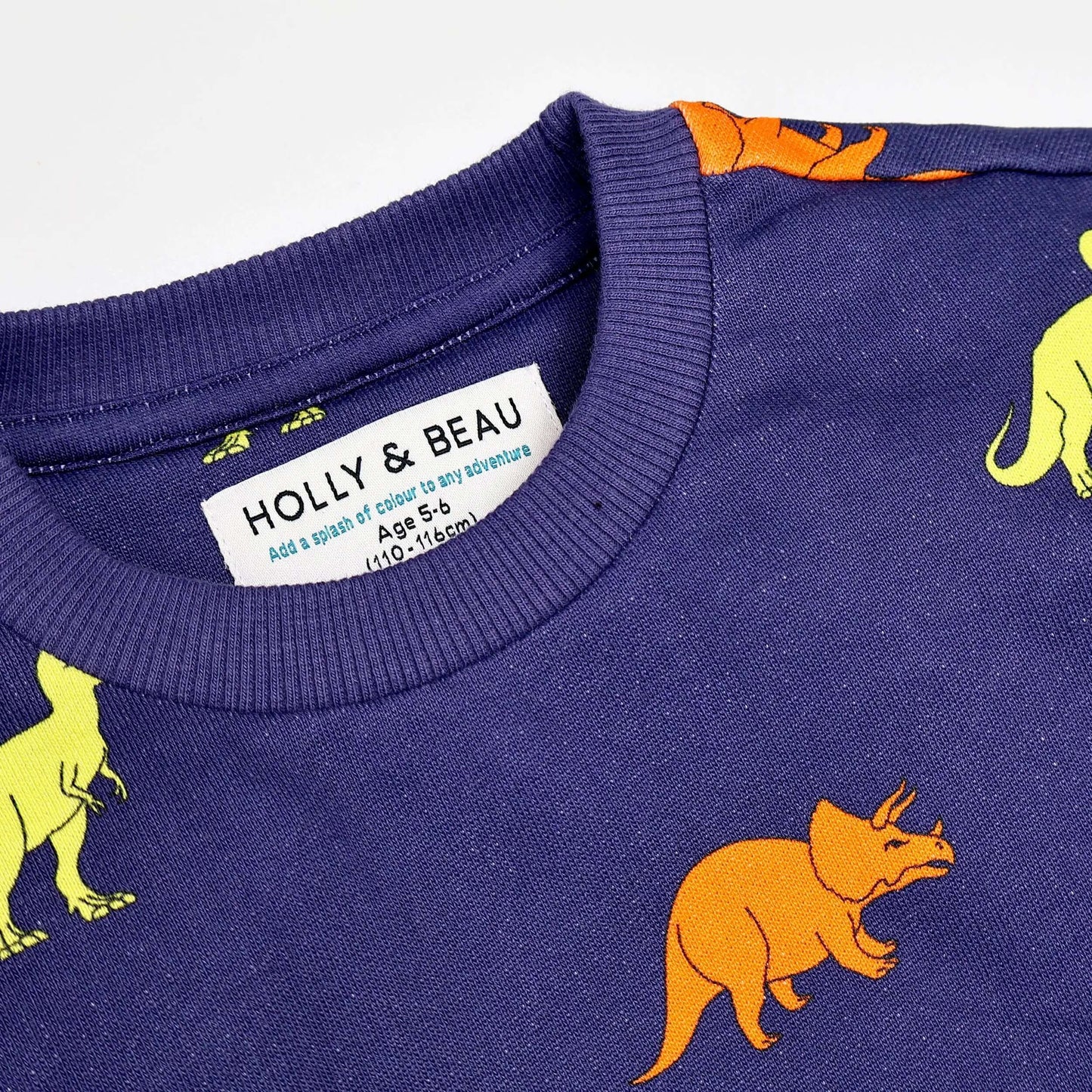 Organic Cotton Dinosaur Sweatshirt Hollyandbeauu