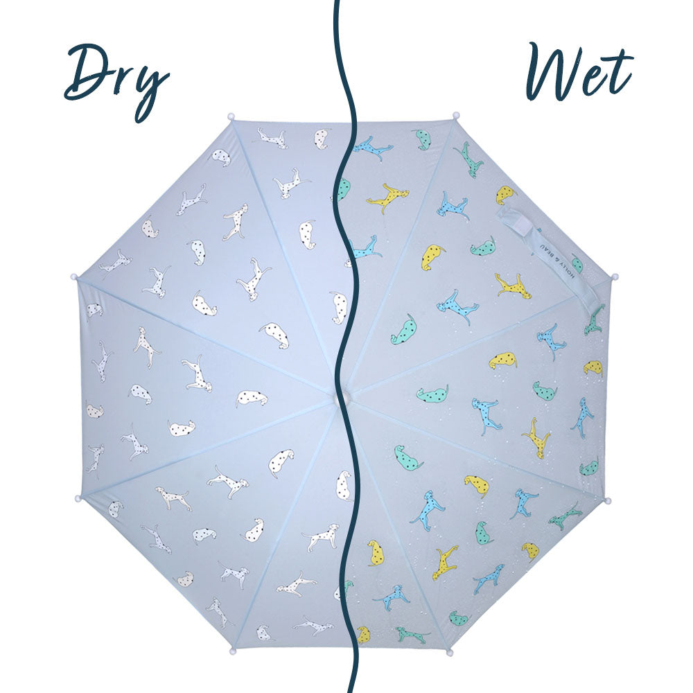 Kids light blue dalmatian colour changing umbrella by Holly and Beau. Above view of the kids colour changing umbrella with a wet/dry comparison. Stick kids colour changing umbrella.