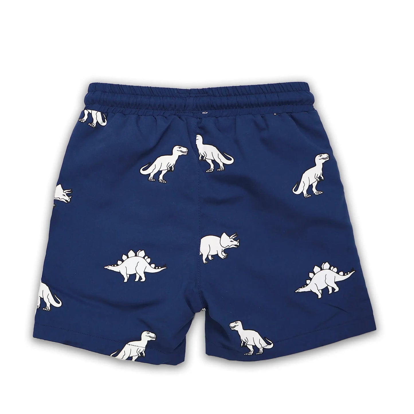 Dinosaur Colour Changing Swim Shorts Hollyandbeauu