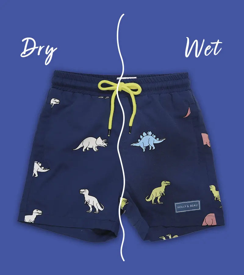 Dinosaur Colour Changing Swim Shorts Hollyandbeauu