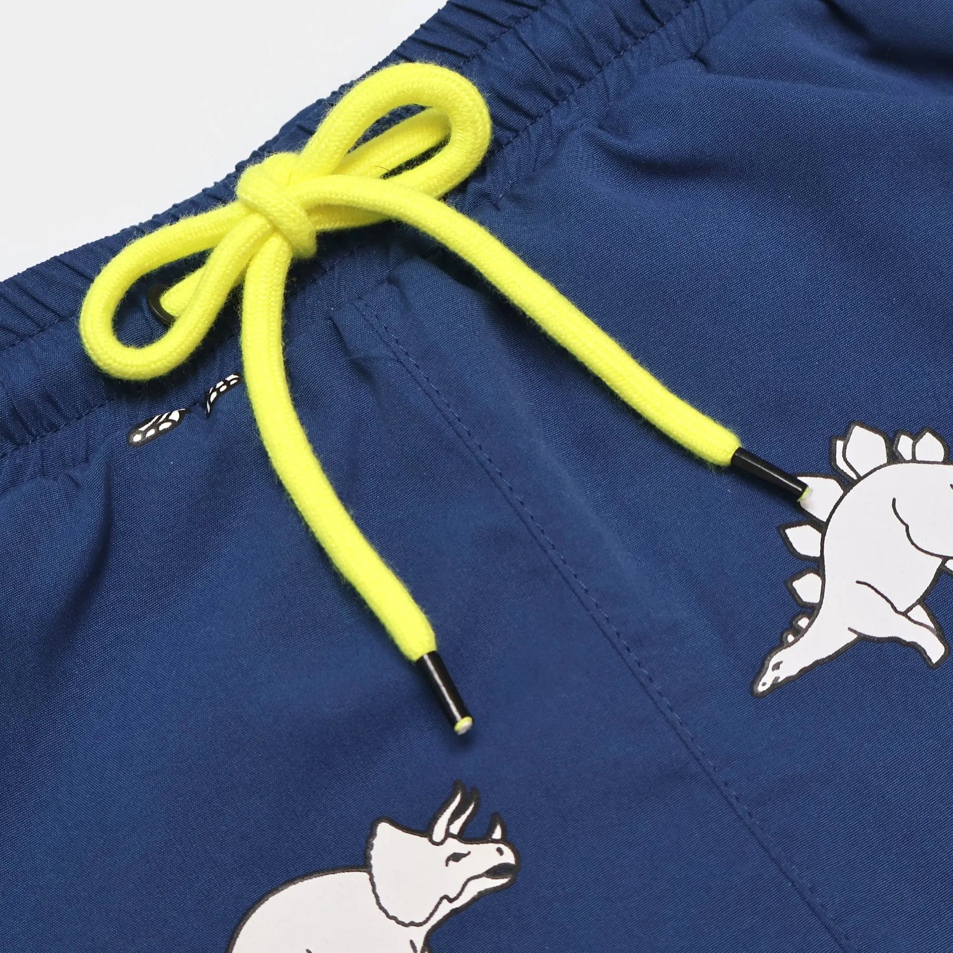 Dinosaur Colour Changing Swim Shorts Hollyandbeauu