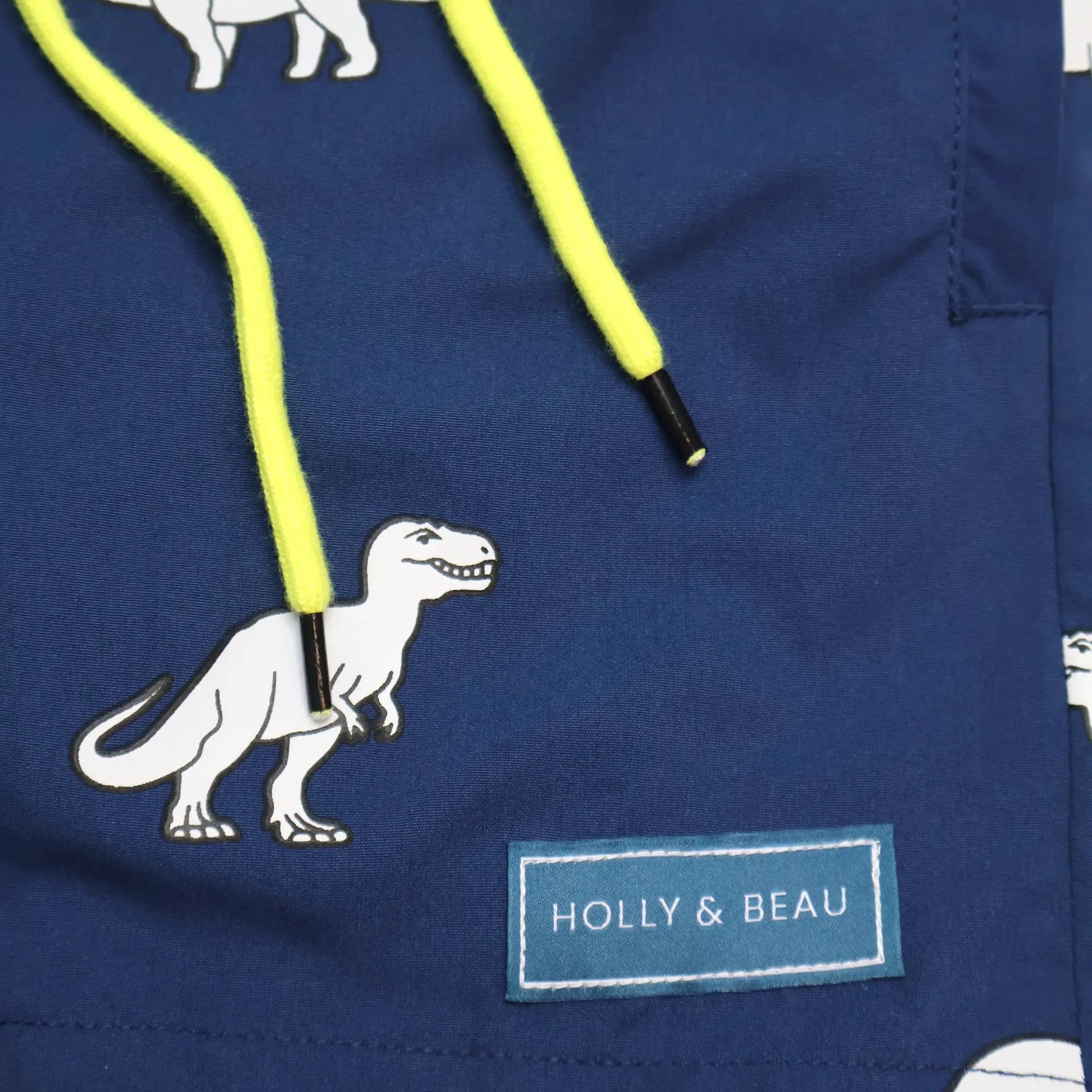 Dinosaur Colour Changing Swim Shorts Hollyandbeauu