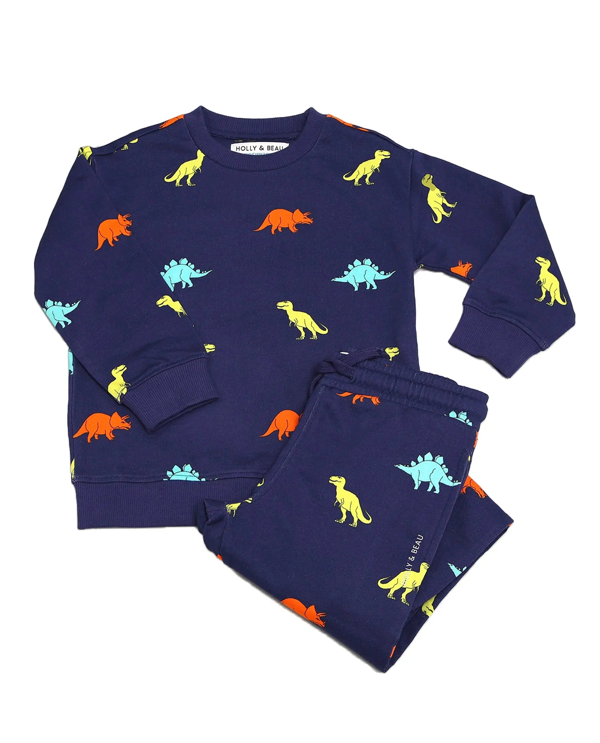 Dinosaur Outfit (Raincoat + Sweatshirt + Joggers) uk.hollyandbeau.com