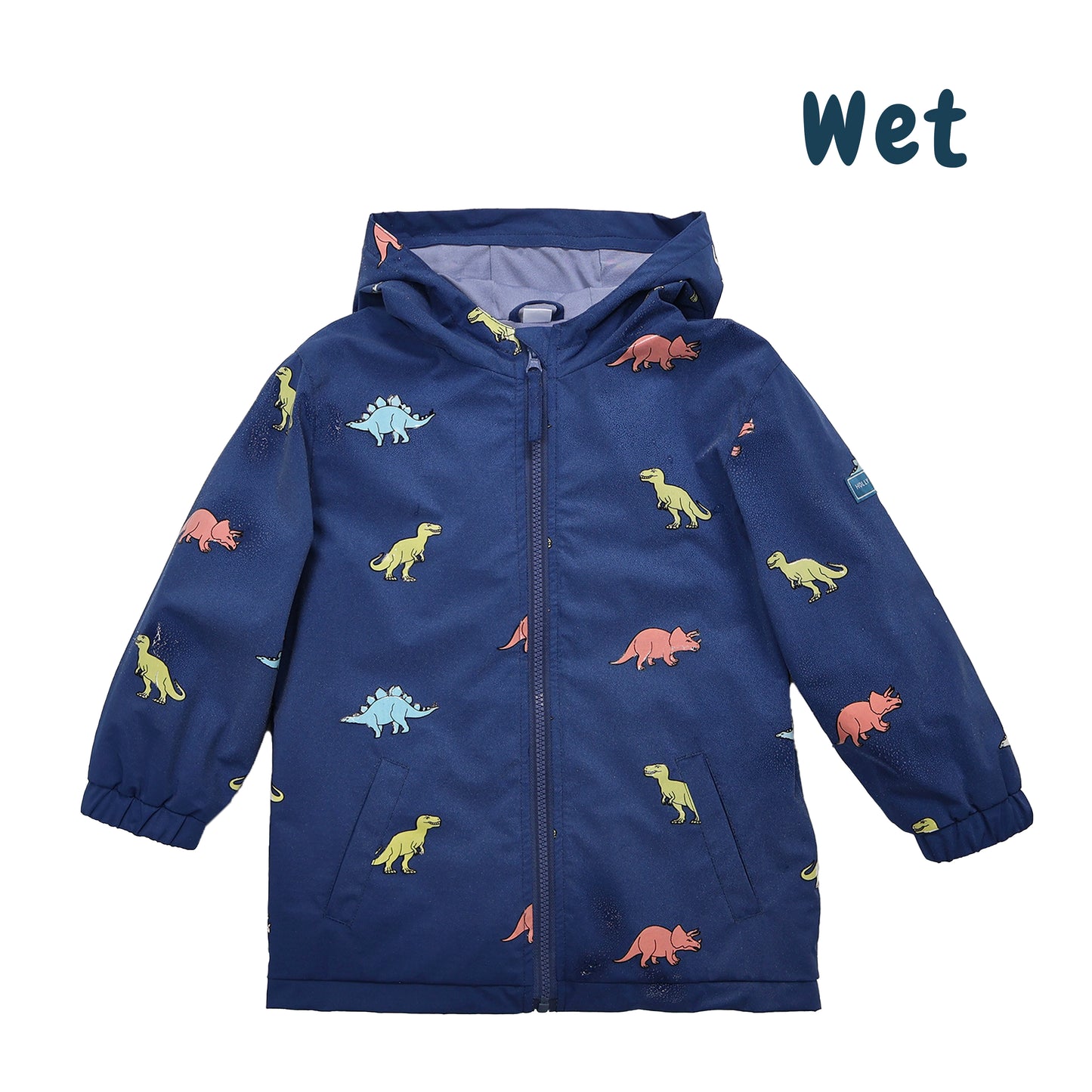 Dinosaur Colour Changing Kids Raincoat