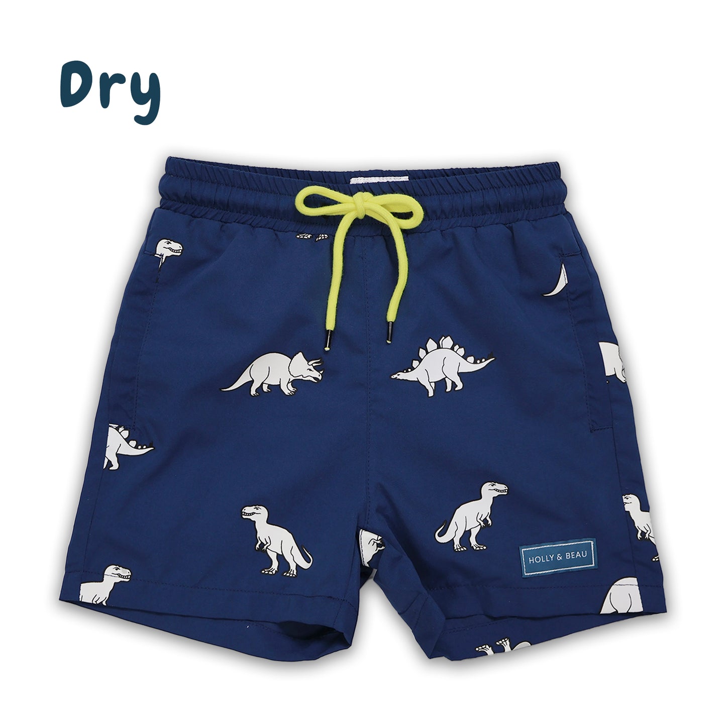 Dinosaur Colour Changing Swim Shorts