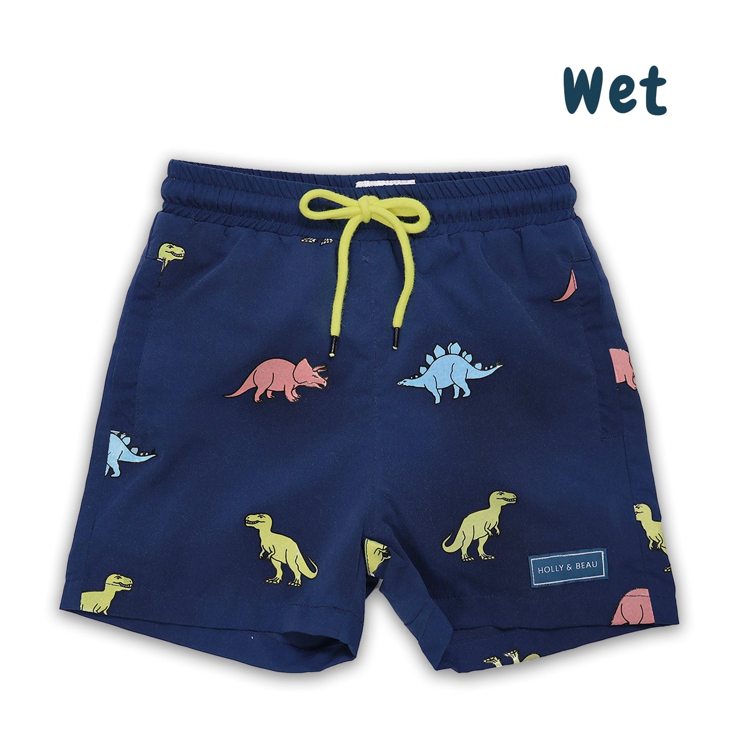 Dinosaur Colour Changing Swim Shorts