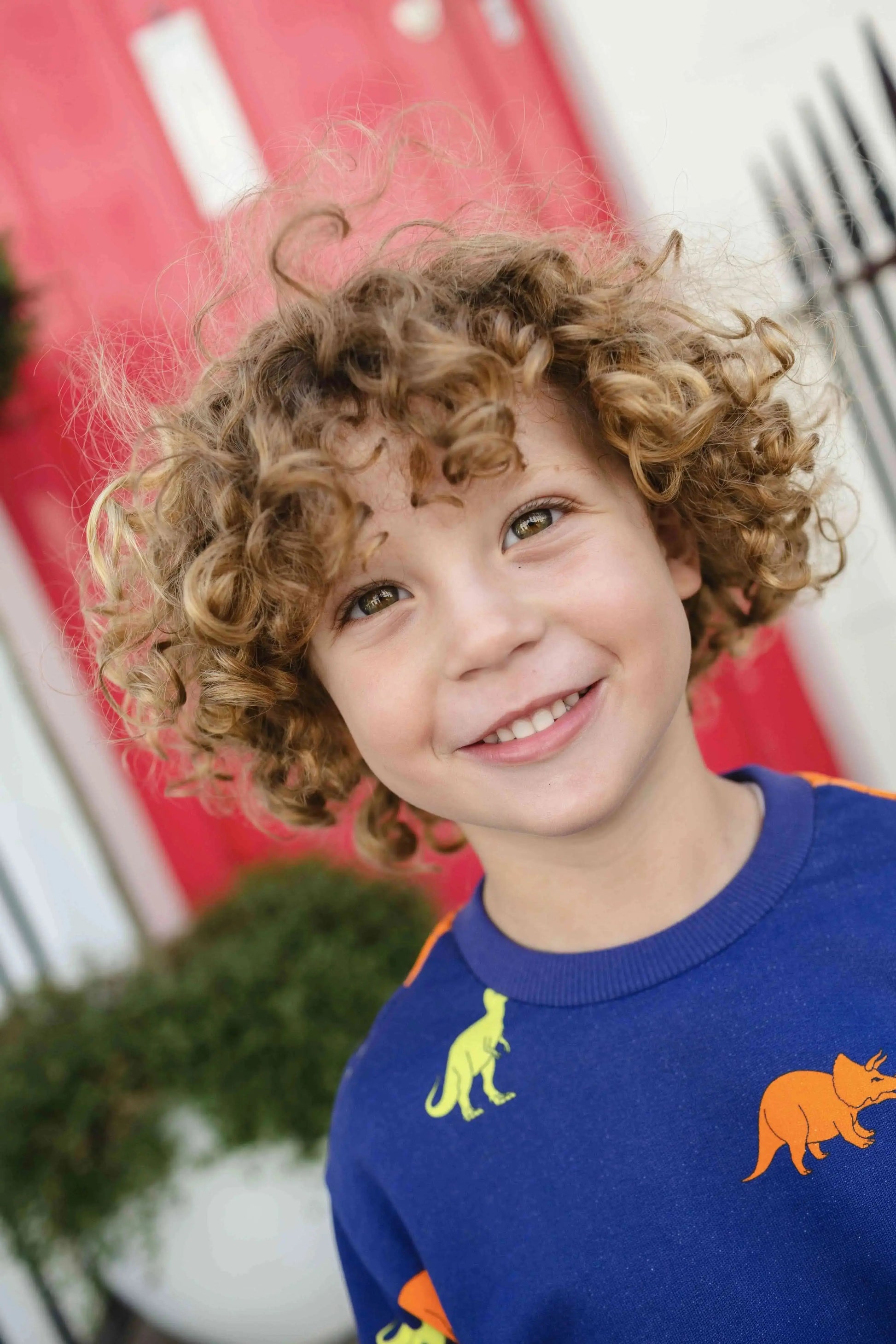 Light Blue Dinosaur Adventure Bundle uk.hollyandbeau.com