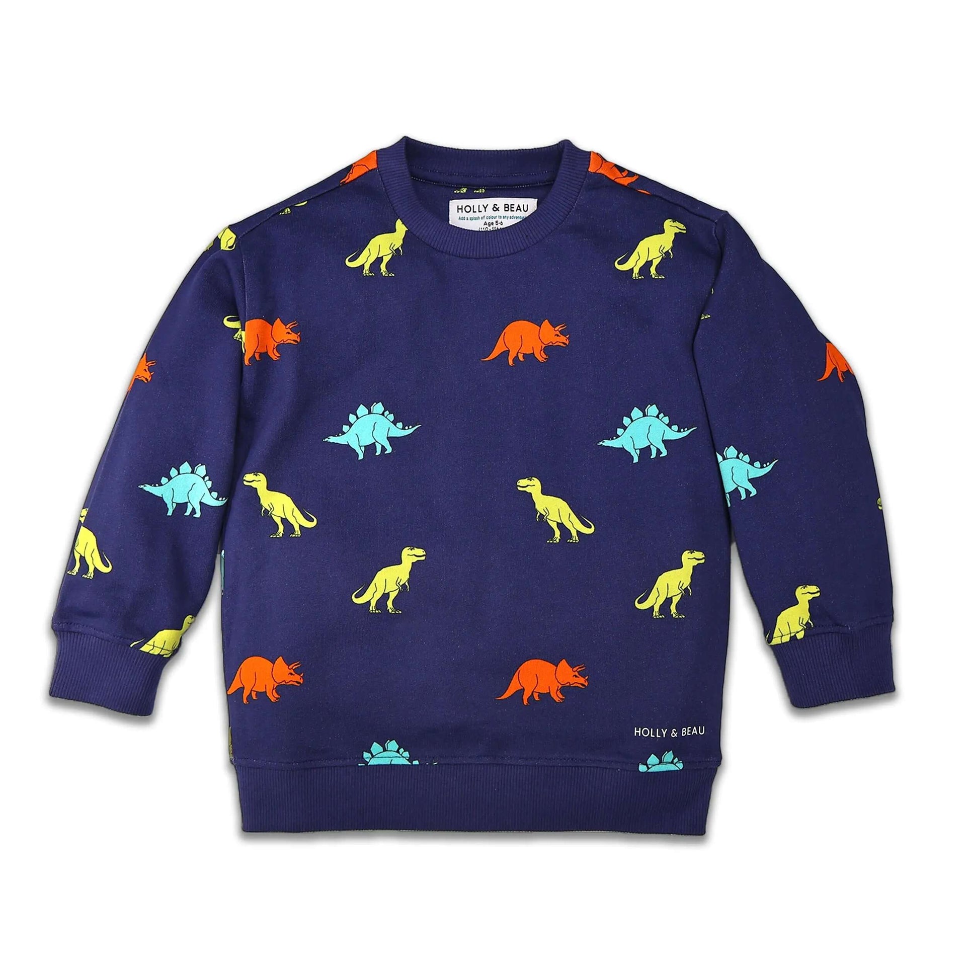 Dinosaur Navy Blue Sweatshirt