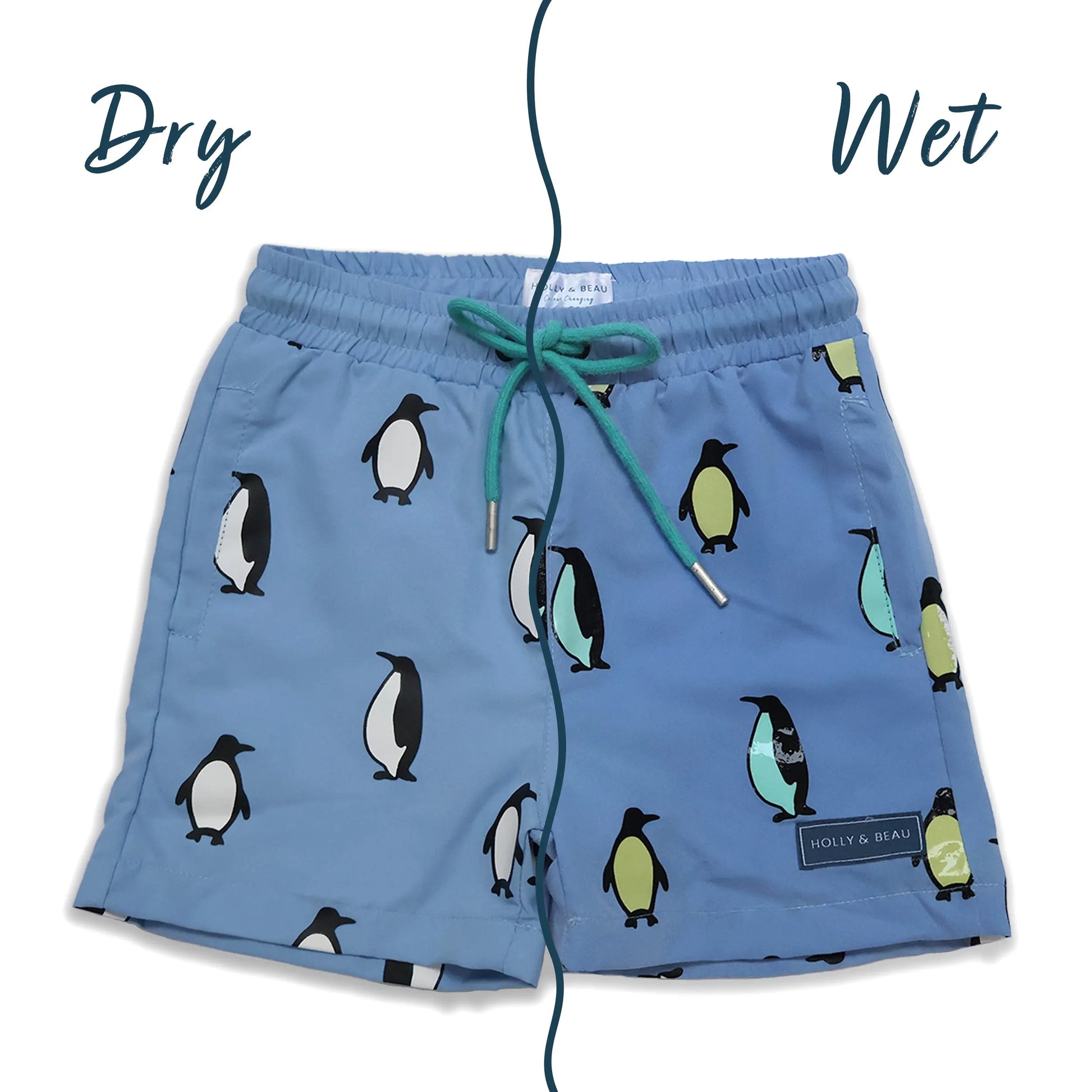 Holly and Beau light blue penguin boys colour changing swim shorts. Wet and dry front view