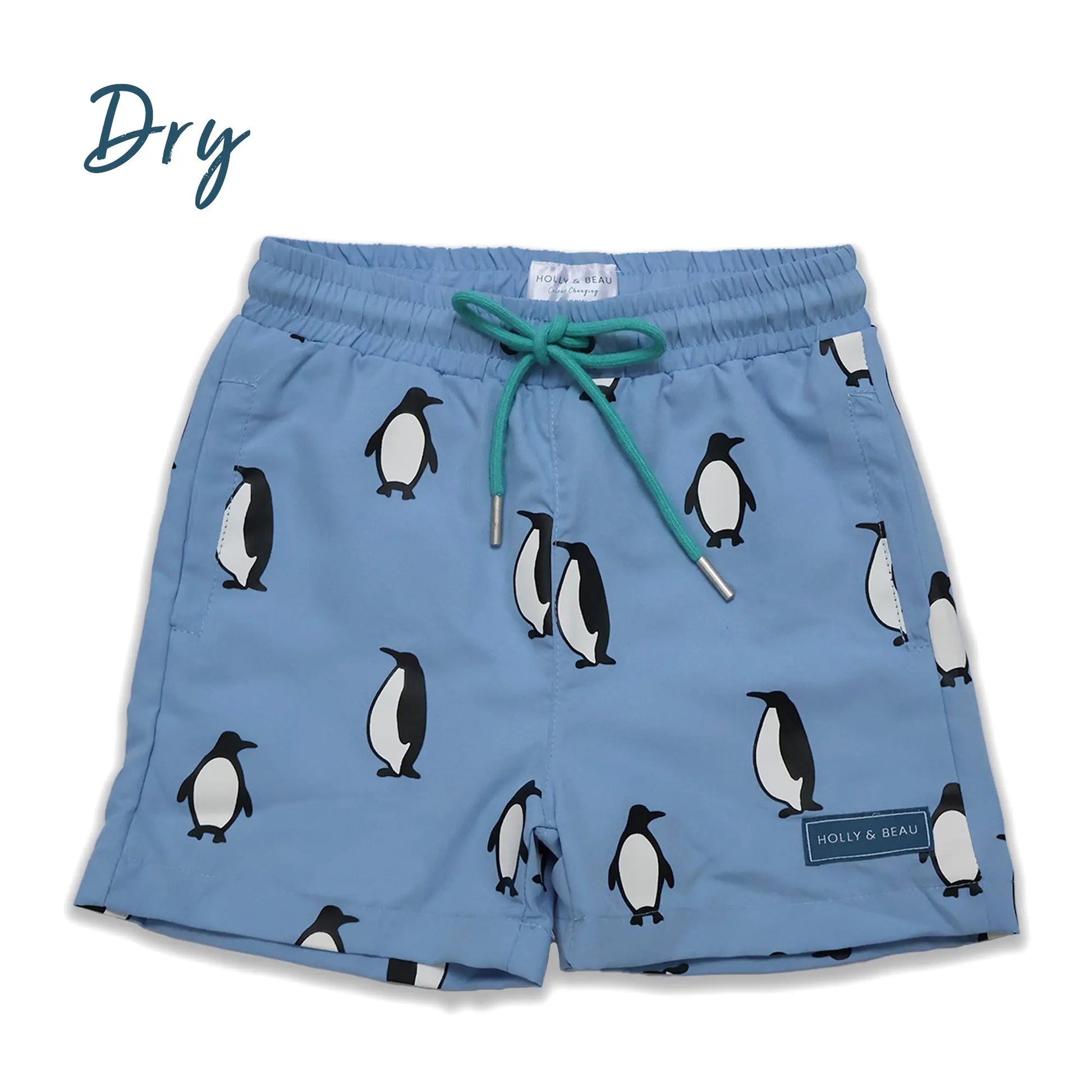 Holly and Beau light blue penguin boys colour changing swim shorts. Dry front view