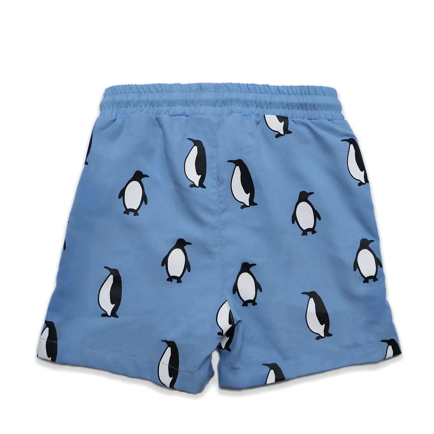 Holly and Beau light blue penguin boys colour changing swim shorts. Dry back view