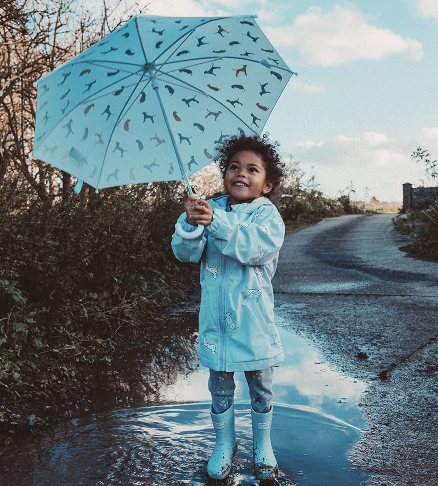 Dalmatian Colour Changing Umbrella