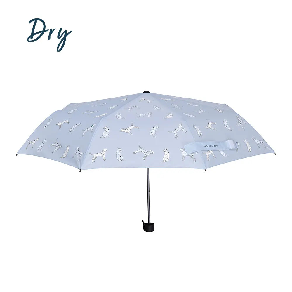 Women's Dalmatian Colour Changing Umbrella Hollyandbeauu