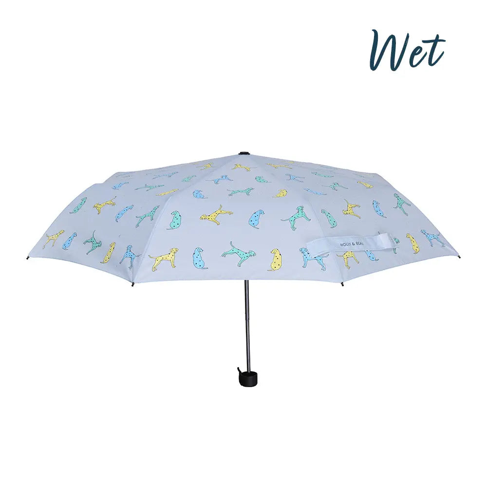 Women's Dalmatian Colour Changing Umbrella Hollyandbeauu