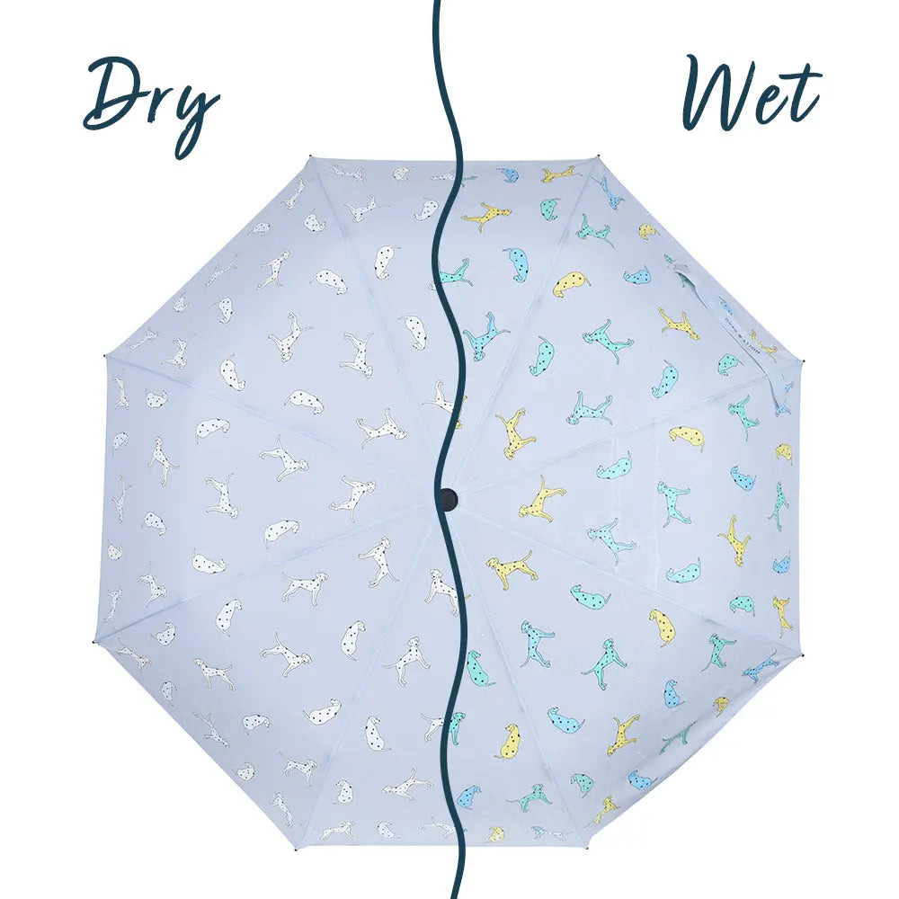 Women's Dalmatian Colour Changing Umbrella Hollyandbeauu